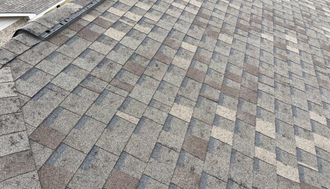 Signs of Hail Damage
