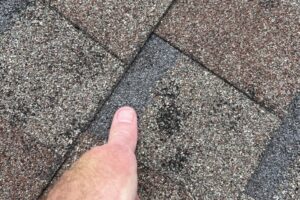Shingle Hail Damage